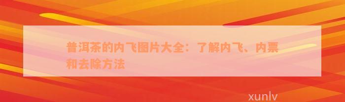 普洱茶的内飞图片大全：了解内飞、内票和去除方法