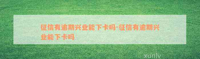 征信有逾期兴业能下卡吗-征信有逾期兴业能下卡吗