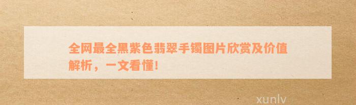 全网最全黑紫色翡翠手镯图片欣赏及价值解析，一文看懂！