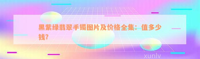 黑紫绿翡翠手镯图片及价格全集：值多少钱？