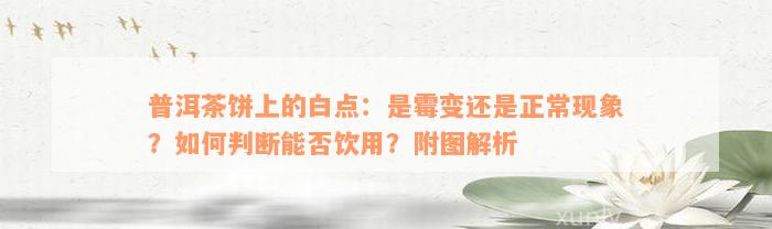 普洱茶饼上的白点：是霉变还是正常现象？如何判断能否饮用？附图解析