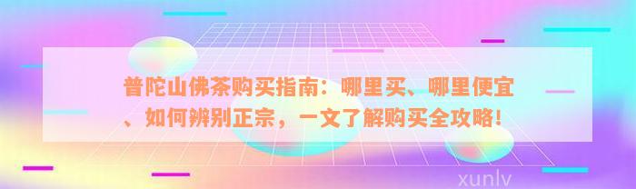 普陀山佛茶购买指南：哪里买、哪里便宜、如何辨别正宗，一文了解购买全攻略！