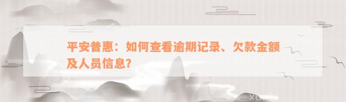 平安普惠：如何查看逾期记录、欠款金额及人员信息？