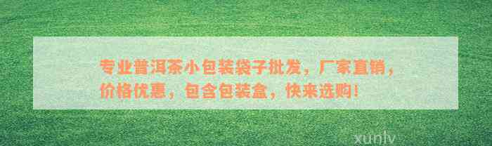 专业普洱茶小包装袋子批发，厂家直销，价格优惠，包含包装盒，快来选购！