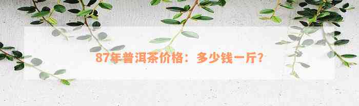 87年普洱茶价格：多少钱一斤？