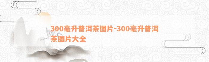 300毫升普洱茶图片-300毫升普洱茶图片大全