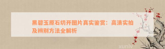 黑碧玉原石切开图片真实鉴赏：高清实拍及辨别方法全解析