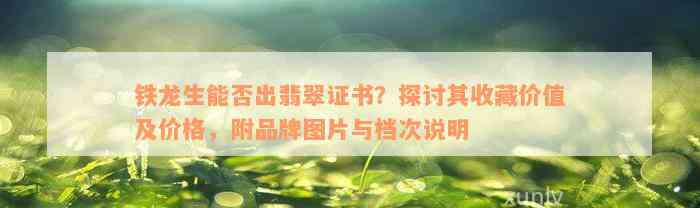 铁龙生能否出翡翠证书？探讨其收藏价值及价格，附品牌图片与档次说明