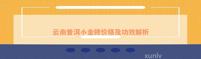 云南普洱小金砖价格及功效解析