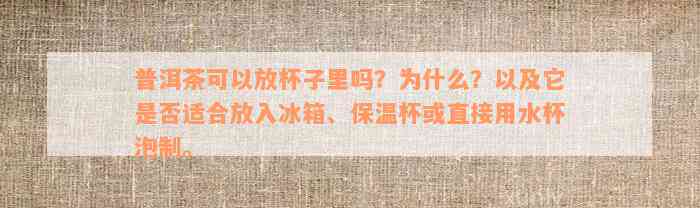 普洱茶可以放杯子里吗？为什么？以及它是否适合放入冰箱、保温杯或直接用水杯泡制。