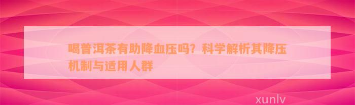 喝普洱茶有助降血压吗？科学解析其降压机制与适用人群