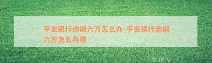 平安银行逾期六万怎么办-平安银行逾期六万怎么办理