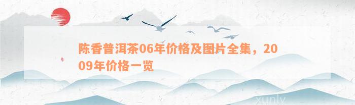 陈香普洱茶06年价格及图片全集，2009年价格一览