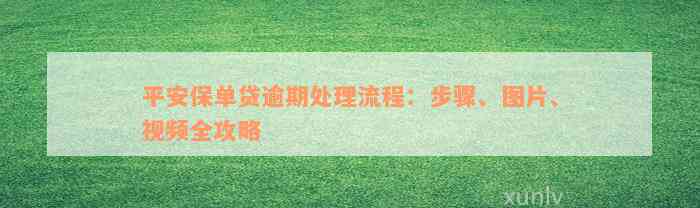 平安保单贷逾期处理流程：步骤、图片、视频全攻略