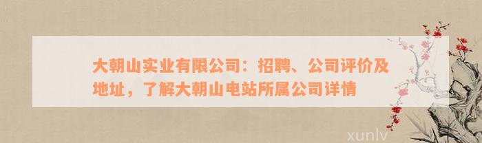 大朝山实业有限公司：招聘、公司评价及地址，了解大朝山电站所属公司详情