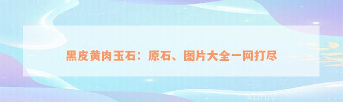 黑皮黄肉玉石：原石、图片大全一网打尽