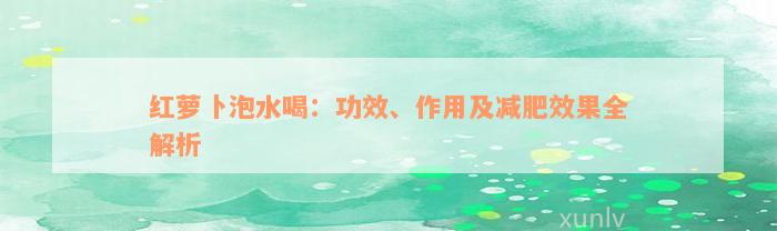 红萝卜泡水喝：功效、作用及减肥效果全解析