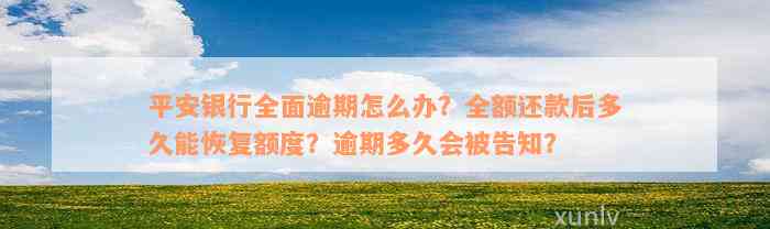 平安银行全面逾期怎么办？全额还款后多久能恢复额度？逾期多久会被告知？