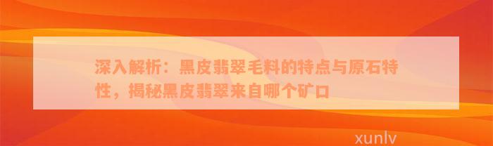 深入解析：黑皮翡翠毛料的特点与原石特性，揭秘黑皮翡翠来自哪个矿口