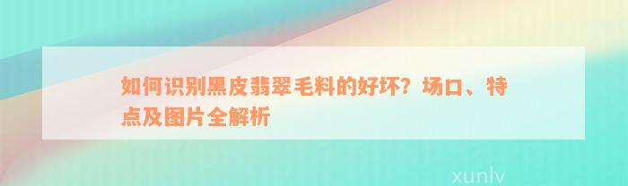 如何识别黑皮翡翠毛料的好坏？场口、特点及图片全解析