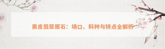 黑皮翡翠原石：场口、料种与特点全解析