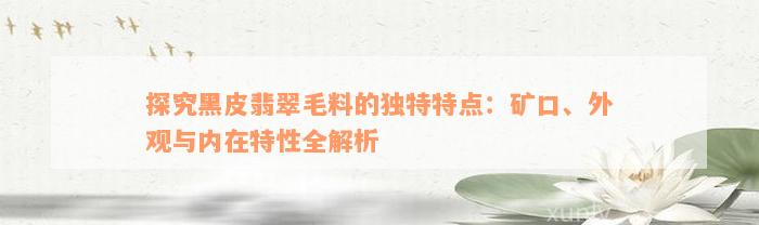 探究黑皮翡翠毛料的独特特点：矿口、外观与内在特性全解析