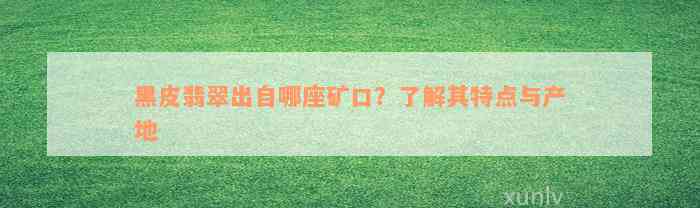 黑皮翡翠出自哪座矿口？了解其特点与产地