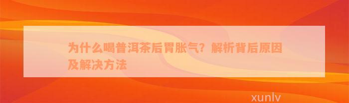 为什么喝普洱茶后胃胀气？解析背后原因及解决方法