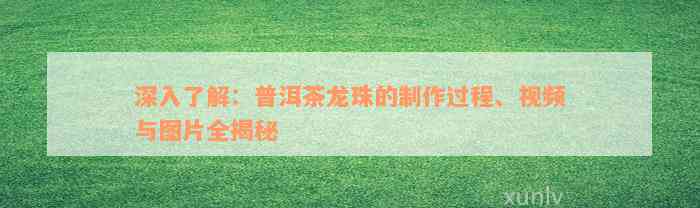 深入了解：普洱茶龙珠的制作过程、视频与图片全揭秘