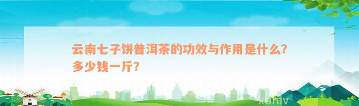 云南七子饼普洱茶的功效与作用是什么？多少钱一斤？