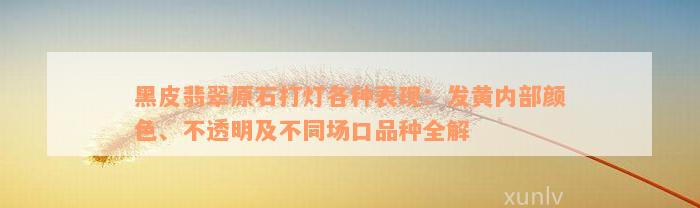 黑皮翡翠原石打灯各种表现：发黄内部颜色、不透明及不同场口品种全解