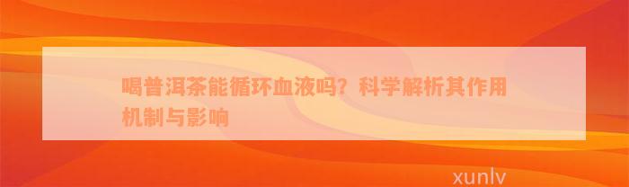 喝普洱茶能循环血液吗？科学解析其作用机制与影响