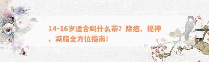 14-16岁适合喝什么茶？除痘、提神、减脂全方位指南！