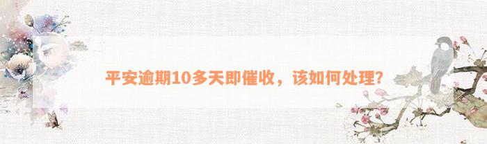 平安逾期10多天即催收，该如何处理？