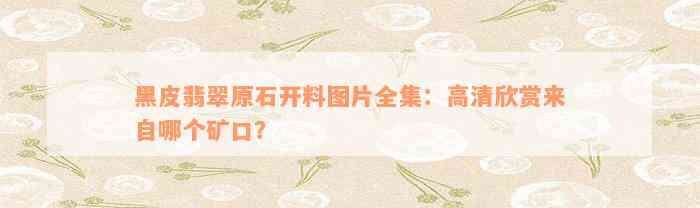 黑皮翡翠原石开料图片全集：高清欣赏来自哪个矿口？