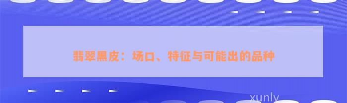 翡翠黑皮：场口、特征与可能出的品种