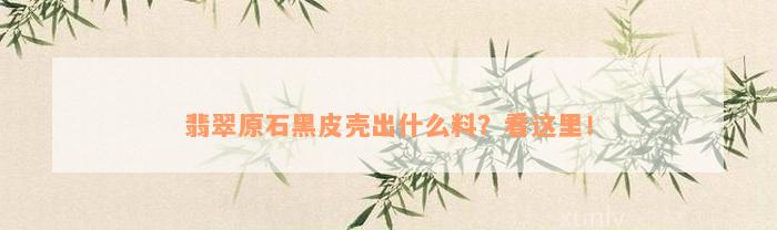 翡翠原石黑皮壳出什么料？看这里！