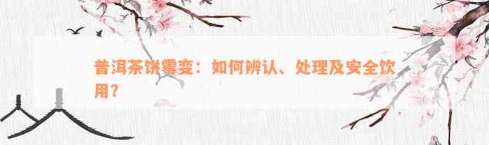 普洱茶饼霉变：如何辨认、处理及安全饮用？