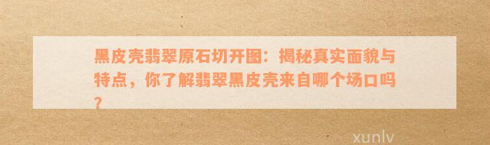 黑皮壳翡翠原石切开图：揭秘真实面貌与特点，你了解翡翠黑皮壳来自哪个场口吗？