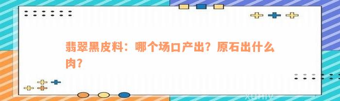 翡翠黑皮料：哪个场口产出？原石出什么肉？