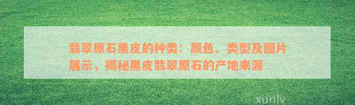 翡翠原石黑皮的种类：颜色、类型及图片展示，揭秘黑皮翡翠原石的产地来源