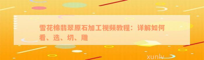 雪花棉翡翠原石加工视频教程：详解如何看、选、切、雕