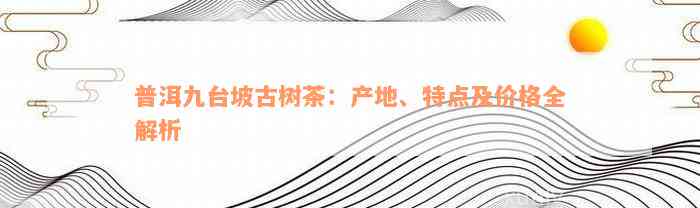 普洱九台坡古树茶：产地、特点及价格全解析