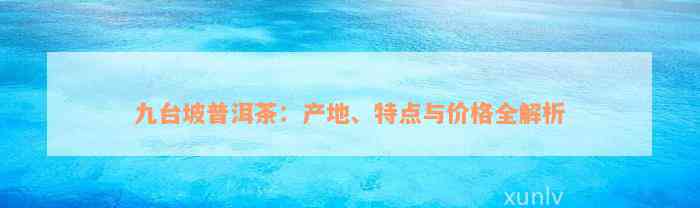 九台坡普洱茶：产地、特点与价格全解析