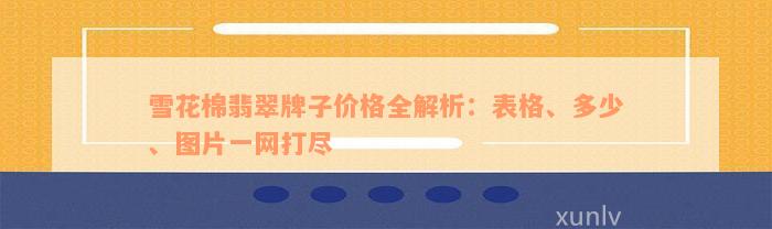 雪花棉翡翠牌子价格全解析：表格、多少、图片一网打尽