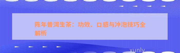 陈年普洱生茶：功效、口感与冲泡技巧全解析