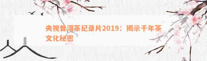 央视普洱茶纪录片2019：揭示千年茶文化秘密