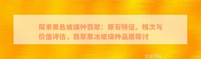 探索黑色玻璃种翡翠：原石特征、档次与价值评估，翡翠黑冰玻璃种品质探讨