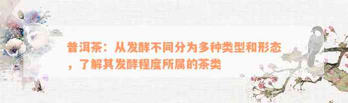 普洱茶：从发酵不同分为多种类型和形态，了解其发酵程度所属的茶类