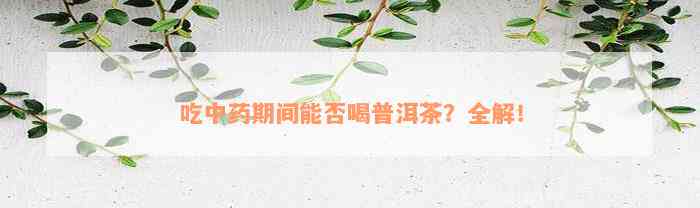 吃中药期间能否喝普洱茶？全解！